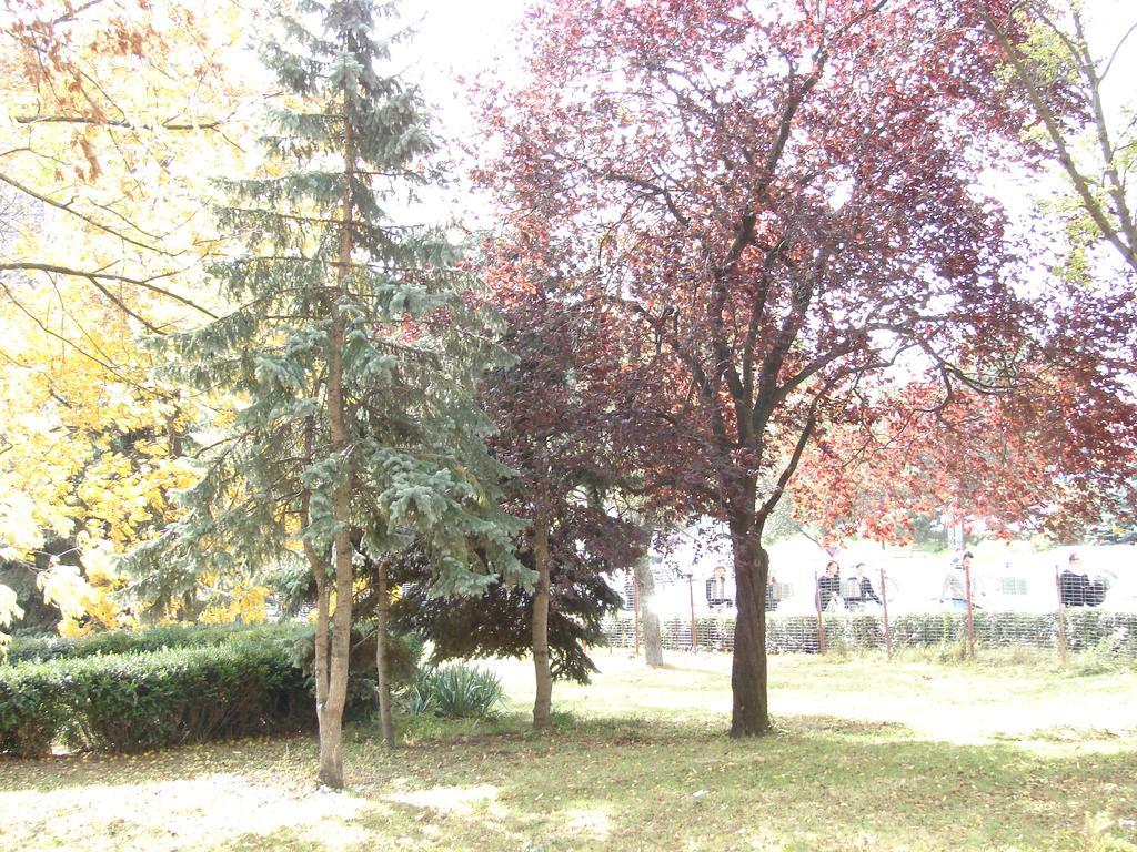 Ap Apartment Hermannstadt